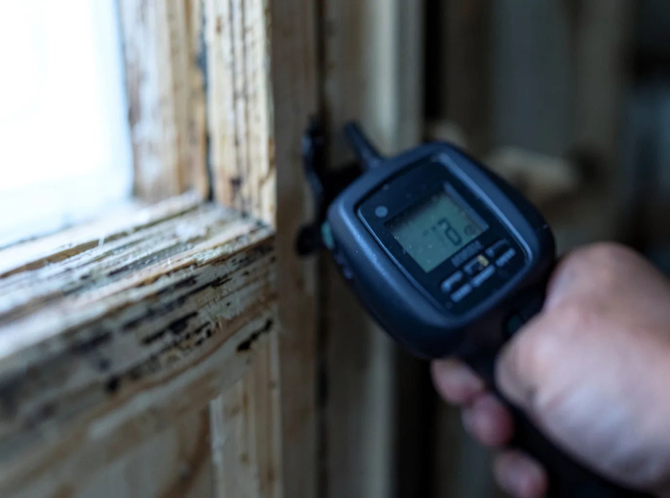 Moisture Inspection And Documentation in Townsville, NC